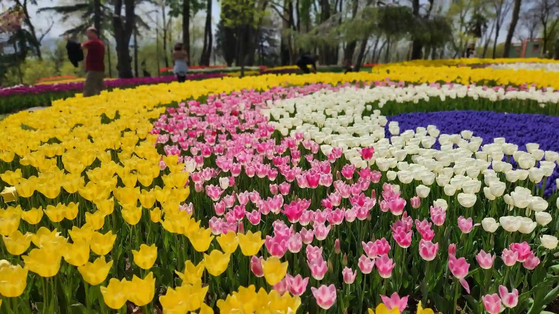 Emirgan Park is a beautiful green space offering a peaceful retreat from the city's hustle. The park is particularly famous for its tulip festival in spring, attracting visitors with colorful blooms. Walking paths, ponds, and picnic areas make it ideal for relaxation. The park also provides stunning views of the Bosphorus.