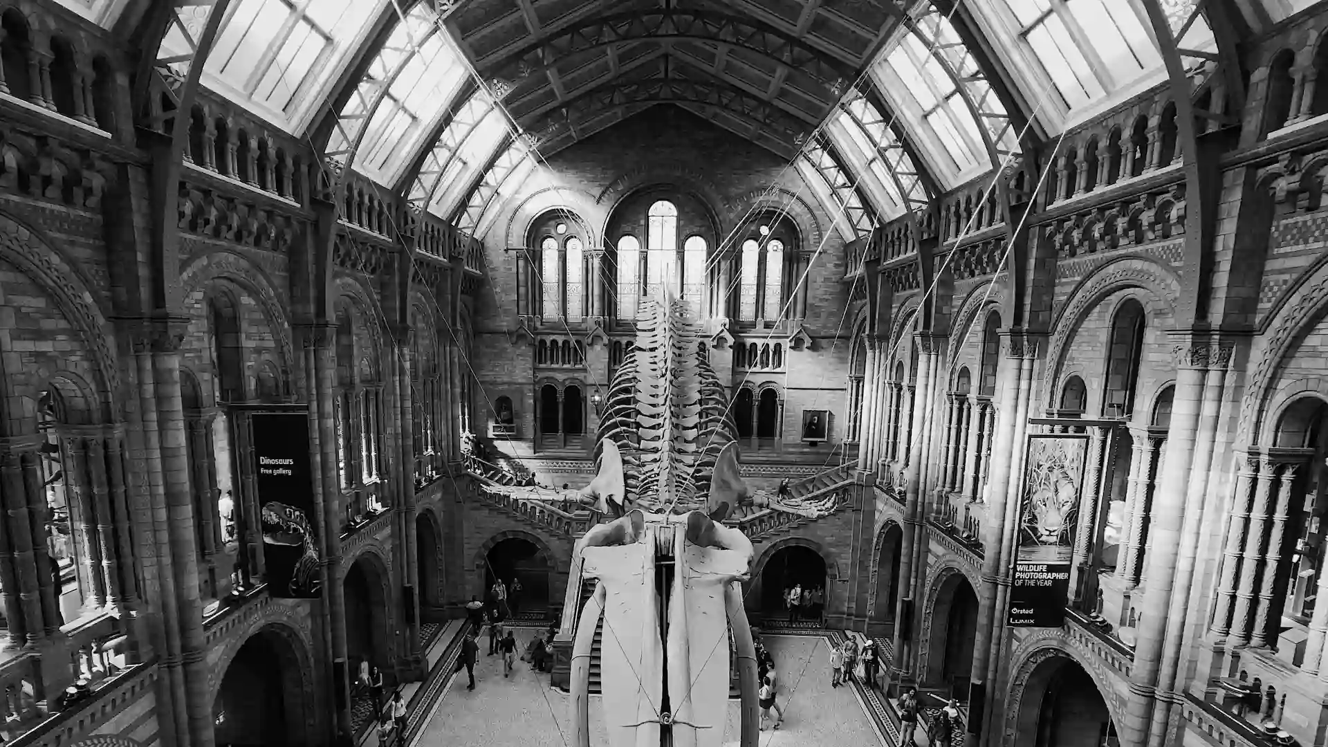 The Natural History Museum features a vast range of specimens from various segments of natural history, including dinosaur skeletons and a giant blue whale. The museum's architecture is equally impressive, with its stunning Victorian façade and grand hall. Interactive exhibits and educational programs make it a favorite destination for families and school groups. Admission is free, and special exhibitions may require tickets.